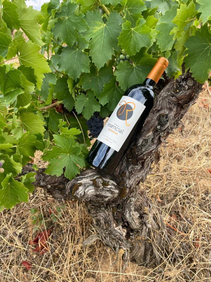 Boutique Finca Esencial Villafranca Del Bierzo Zewnętrze zdjęcie
