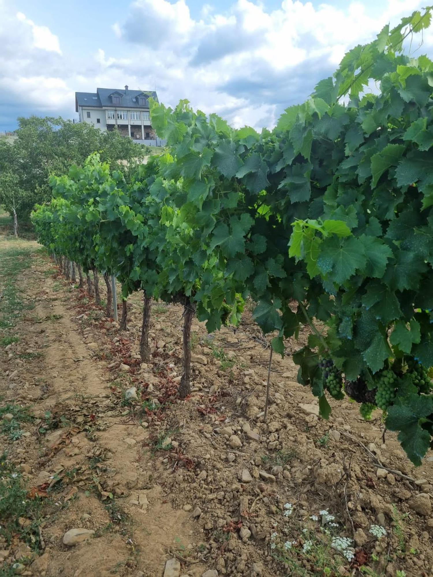 Boutique Finca Esencial Villafranca Del Bierzo Zewnętrze zdjęcie