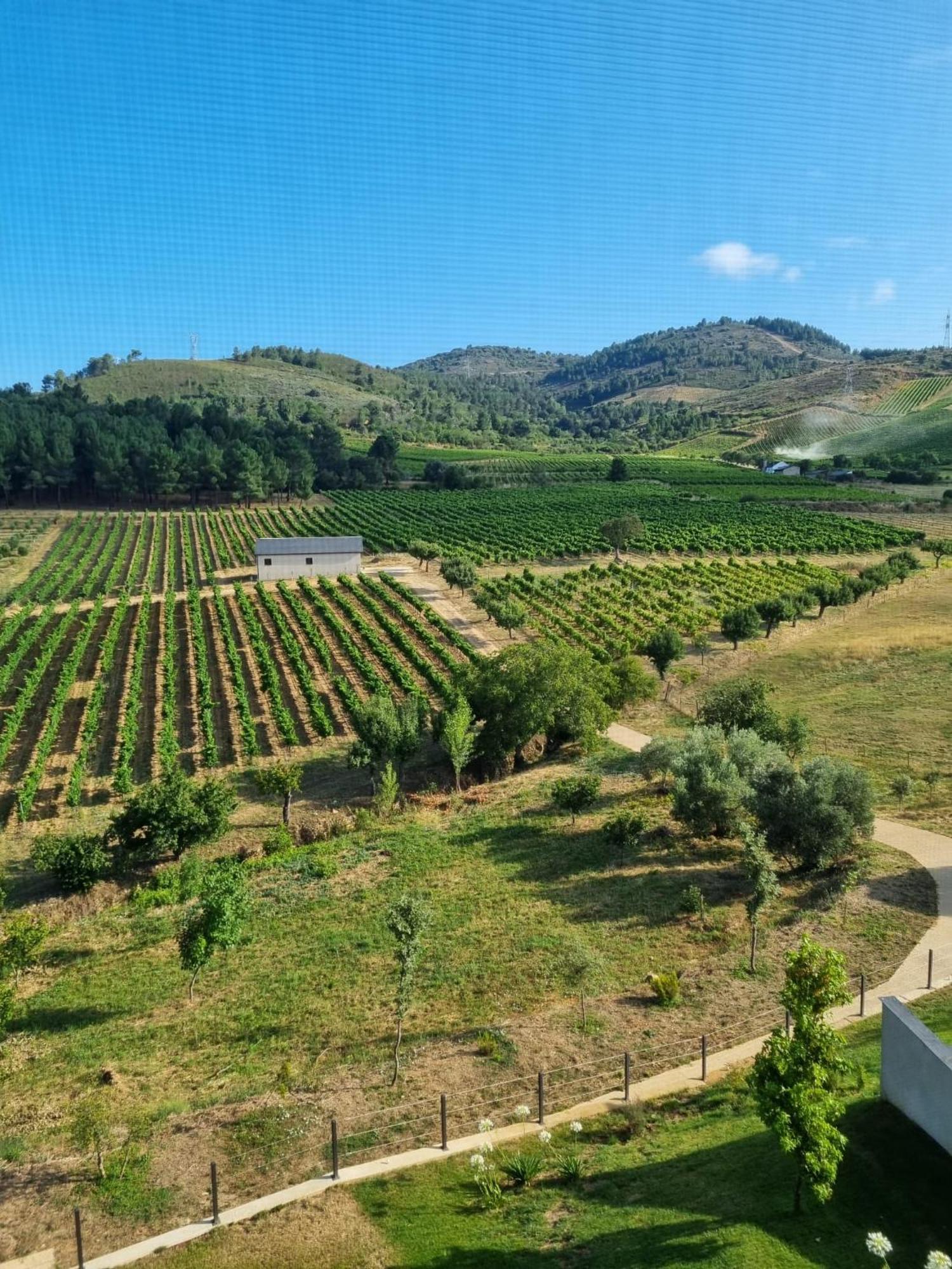 Boutique Finca Esencial Villafranca Del Bierzo Zewnętrze zdjęcie